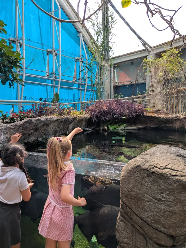 FS Bristol Aquarium visit - image 6