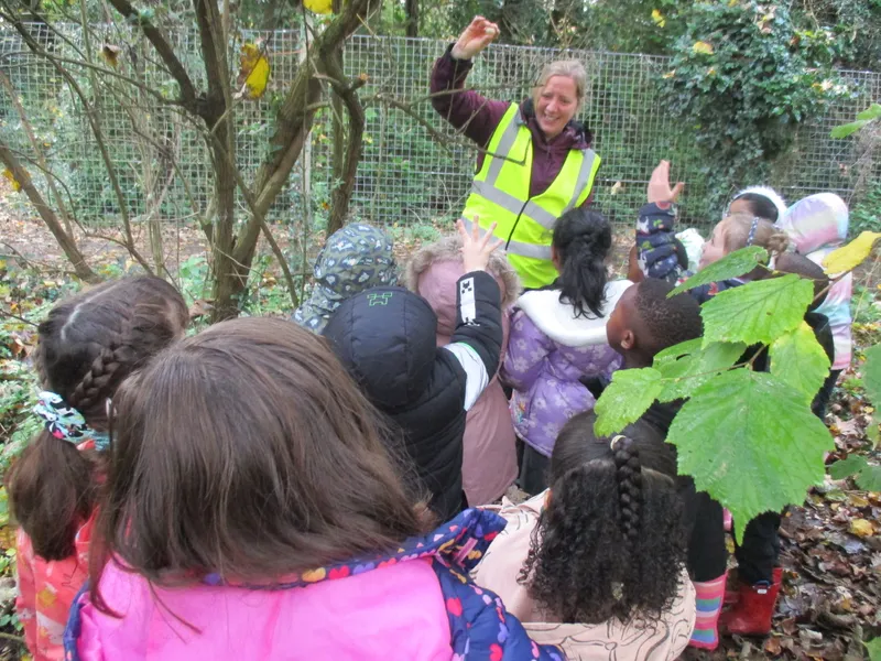 Forest School Fun Year 1 - image 1 Forest School Fun Year 1 - image 1