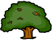Year 6 - Oak
