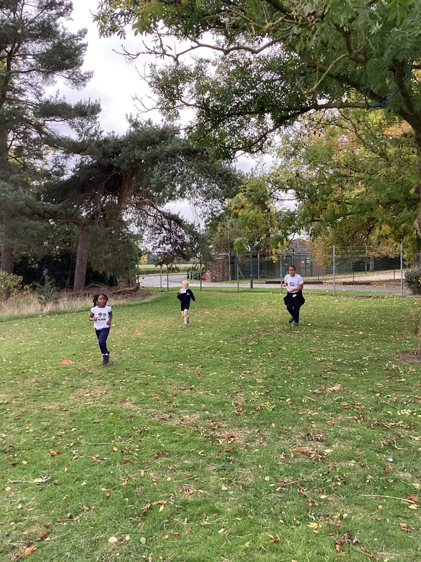 Gallery - created at 2023-03-06 09:54:01 - image 1