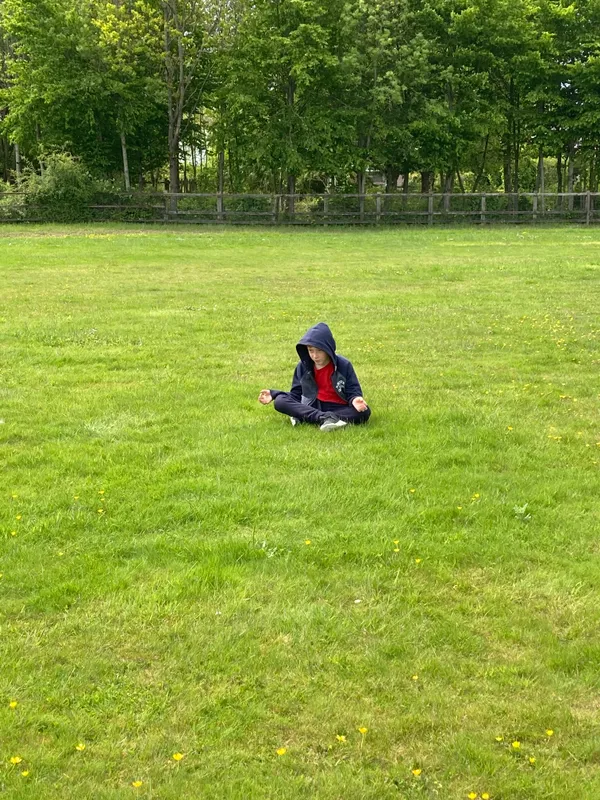 Gallery - created at 2022-12-06 11:29:49 - image 1