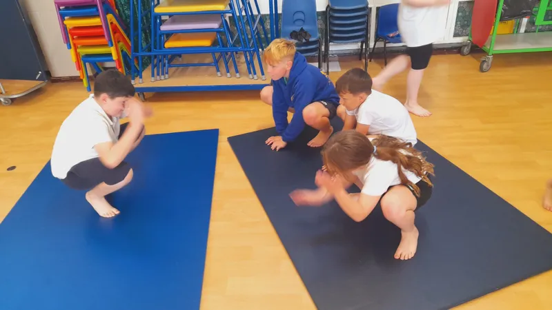Ospreys have been learning about mirroring and matching in gymnastics - image 2 Ospreys have been learning about mirroring and matching in gymnastics - image 2