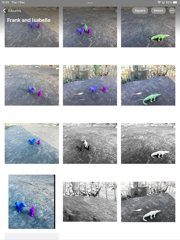Gallery - image 1