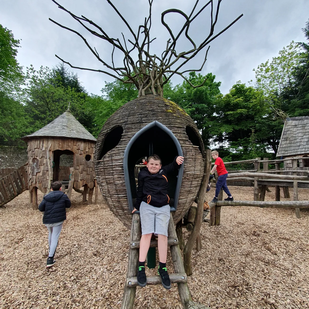 Gallery - created at 2024-06-06 15:19:10 - image 95