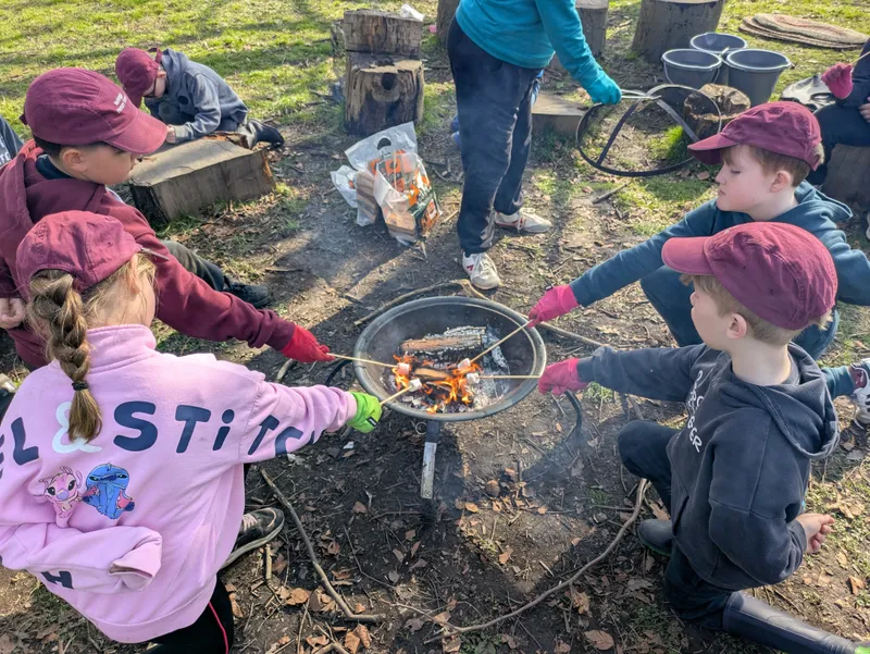 Gallery - created at 2025-03-20 15:36:53 - image 4