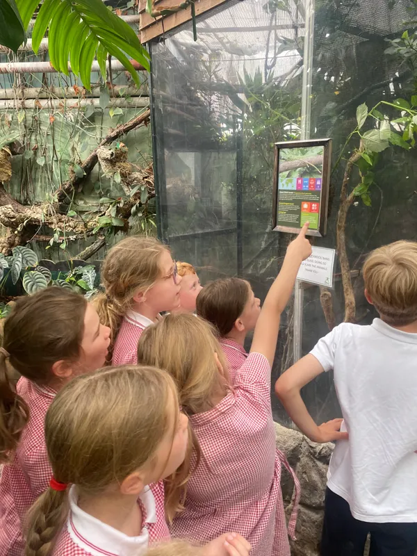 Gallery - created at 2025-06-20 13:57:48 - image 14