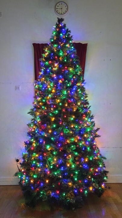 It's Beginning to Look a Lot Like Christmas at DJS!