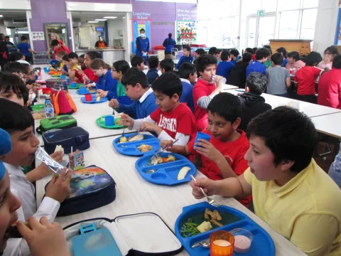 Gallery - created at 2021-06-14 09:49:06 - image 4 Gallery - created at 2021-06-14 09:49:06 - image 4