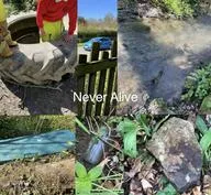 Forest School 73 - image 3 Forest School 73 - image 3