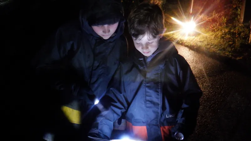 Gallery - created at 2024-02-27 21:54:15 - image 20 Gallery - created at 2024-02-27 21:54:15 - image 20