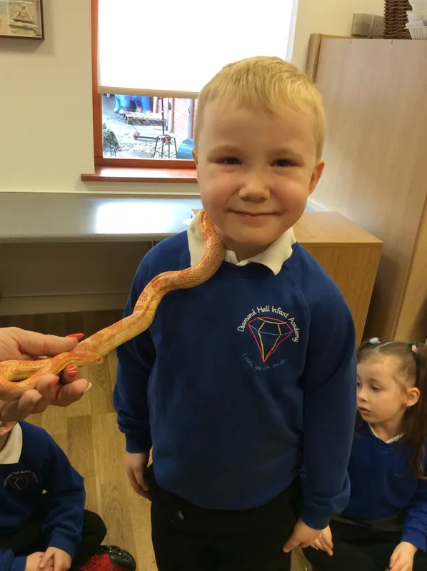 Gallery - created at 2024-02-26 17:15:57 - image 44 Gallery - created at 2024-02-26 17:15:57 - image 44