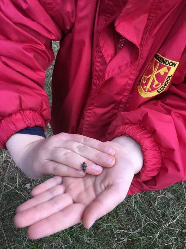 Gallery - created at 2022-09-27 12:57:21 - image 5