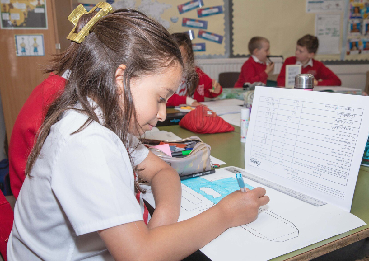 Curriculum