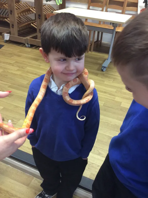 Gallery - created at 2024-03-05 13:52:56 - image 2 Gallery - created at 2024-03-05 13:52:56 - image 2