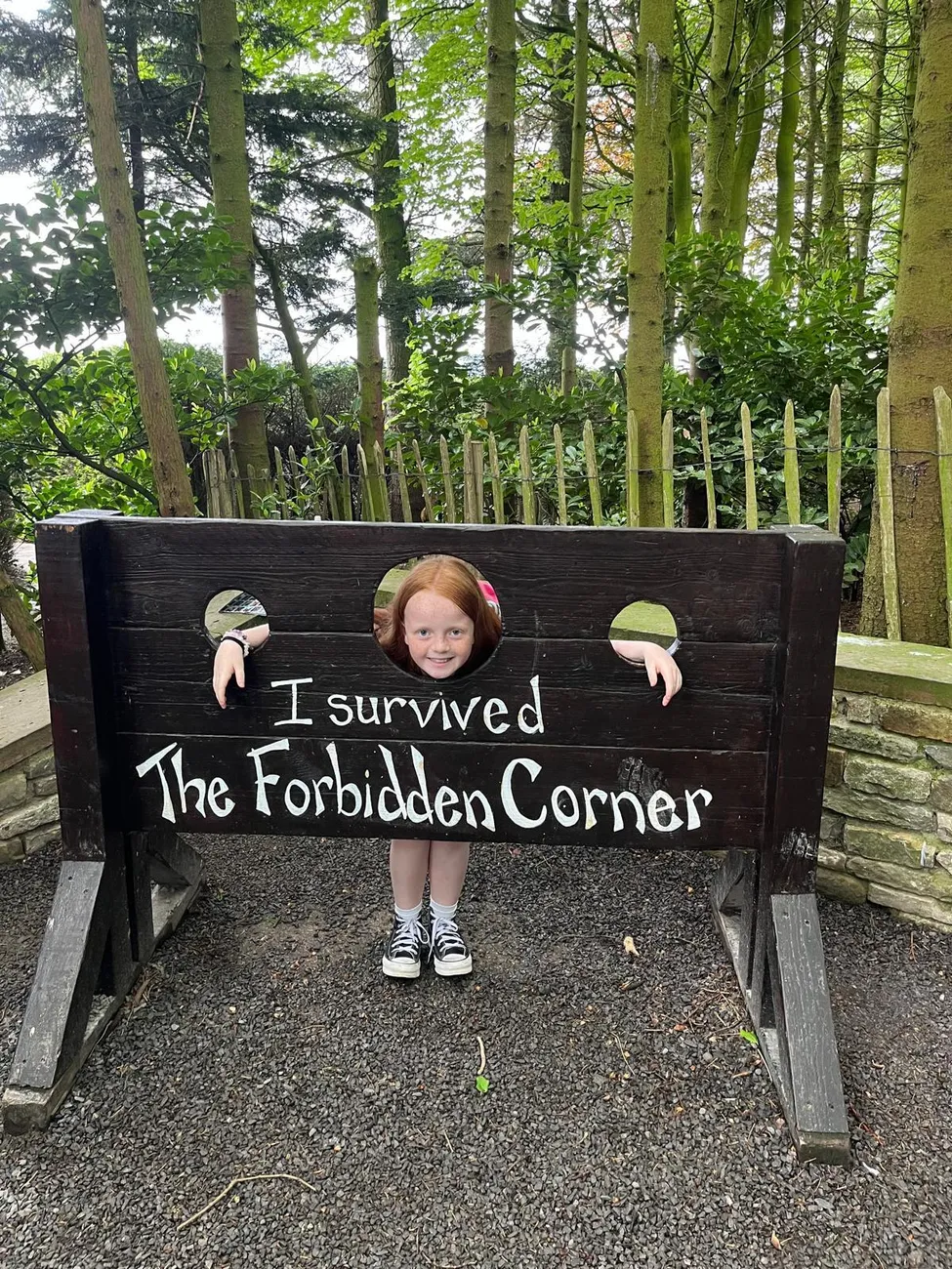 Gallery - created at 2024-06-06 15:19:10 - image 28