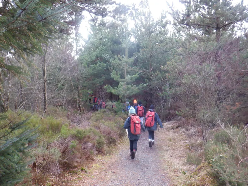 Gallery - created at 2025-02-26 20:19:52 - image 42