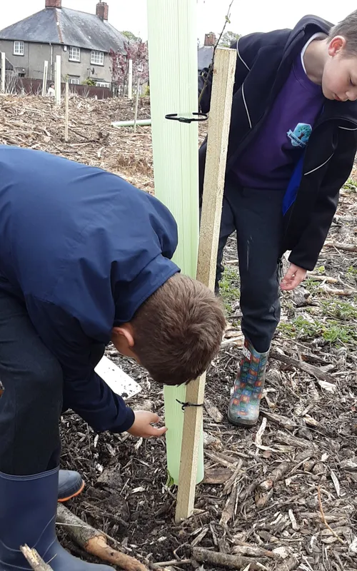 Gallery - created at 2025-04-30 13:12:16 - image 9 Gallery - created at 2025-04-30 13:12:16 - image 9