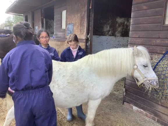 Farm 2025 - Gallery 3 - image 11