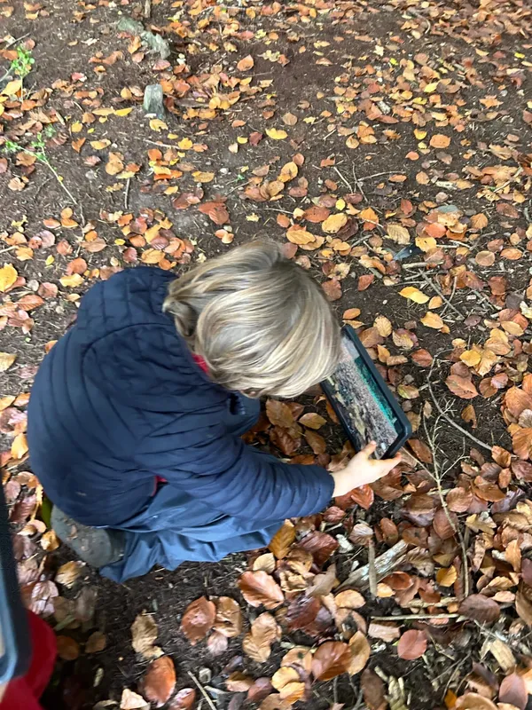 Gallery - created at 2024-11-08 17:23:27 - image 17