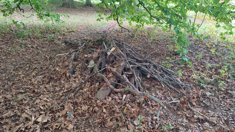 Ecowarriors - image 4 Ecowarriors - image 4