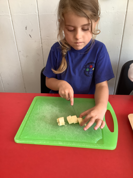 Delicious Smoothies - Year 1