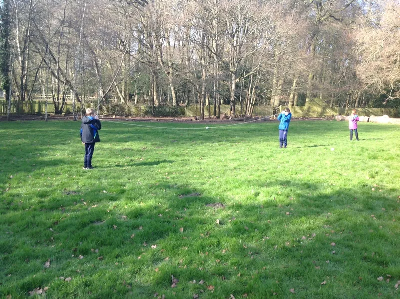 Gallery - created at 2024-03-07 19:05:44 - image 12 Gallery - created at 2024-03-07 19:05:44 - image 12