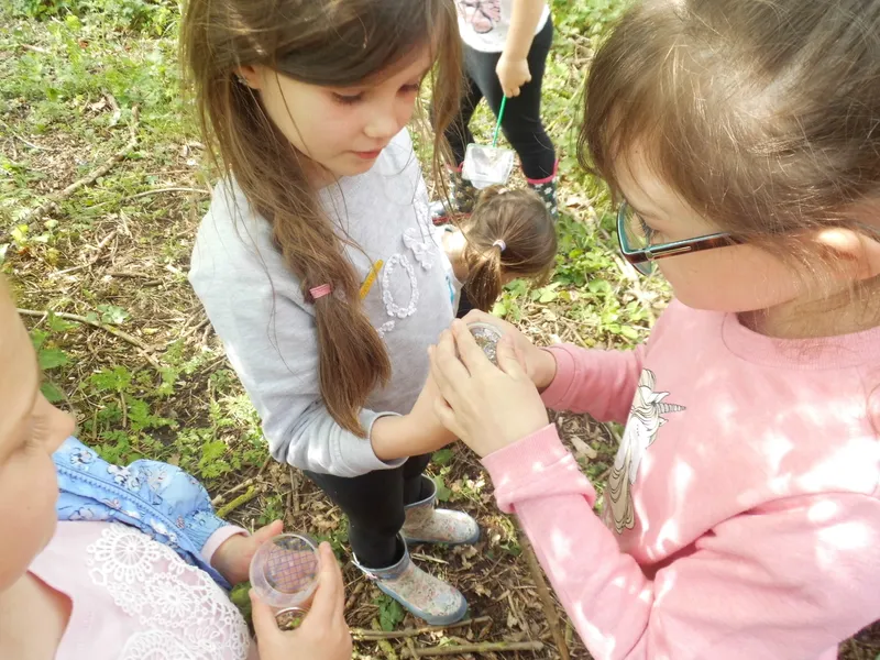 Gallery - created at 2019-05-10 14:05:52 - image 13