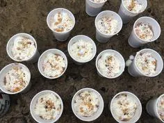 Forest School 118 - image 3 Forest School 118 - image 3