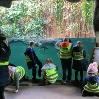 NB nonchron writing - image 4 NB nonchron writing - image 4