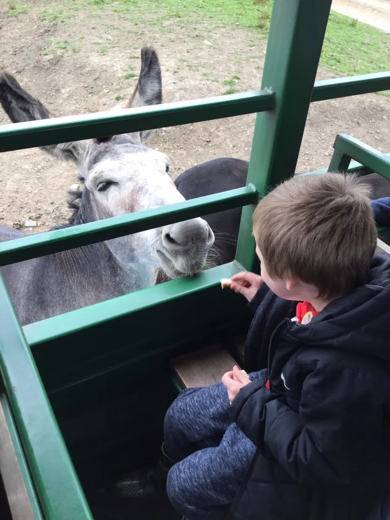 Smithills Farm - image 1