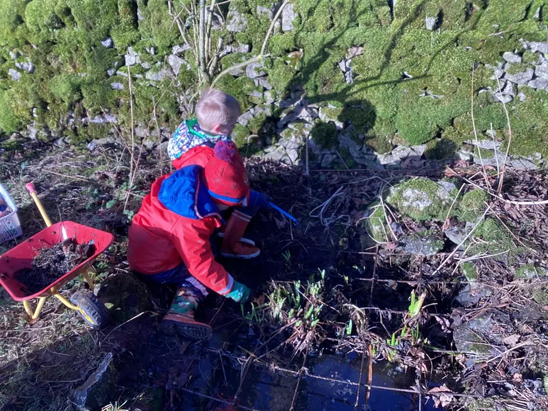 Gallery - created at 2025-02-25 16:17:58 - image 1