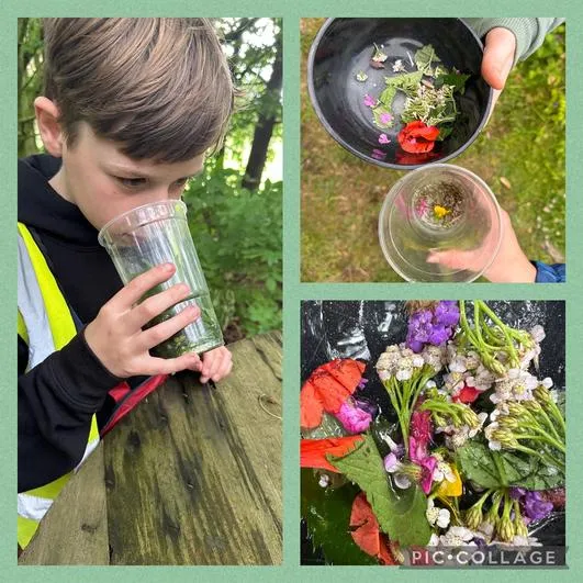 Summer 2024 - 3rd July - Oaks - Orienteering (Roman Numerals), Woodland Perfumes and Forest Games - image 4 Summer 2024 - 3rd July - Oaks - Orienteering (Roman Numerals), Woodland Perfumes and Forest Games - image 4