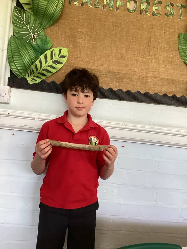 Beech Class Summer Homework Showcase - image 26