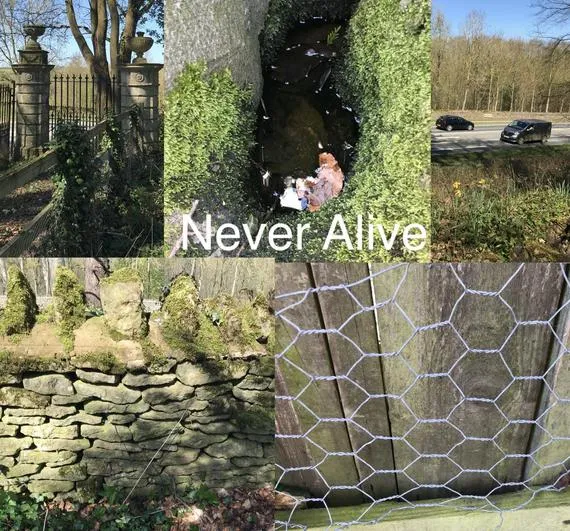 Summer 2023 - April 19th - Saplings - Identifying and Classifying Living Things and Playing the MRSGREN Game - image 1 Summer 2023 - April 19th - Saplings - Identifying and Classifying Living Things and Playing the MRSGREN Game - image 1