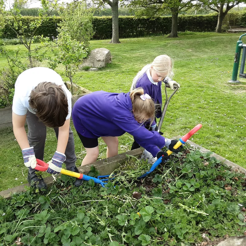 Gallery - created at 2025-06-23 10:33:29 - image 4 Gallery - created at 2025-06-23 10:33:29 - image 4