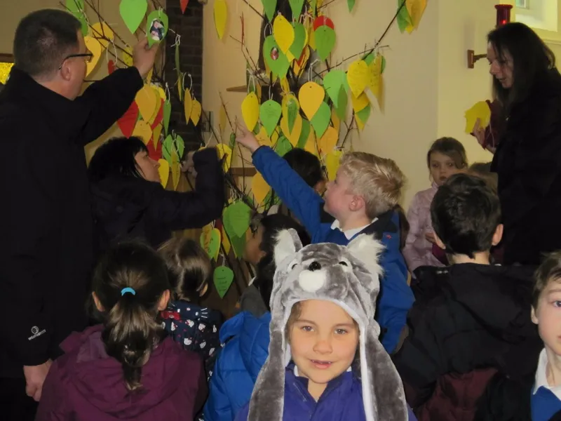 Gallery - created at 2017-09-11 16:29:13 - image 8