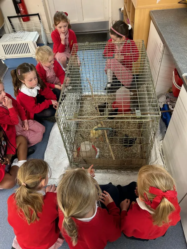 Gallery - created at 2025-06-06 11:32:24 - image 10