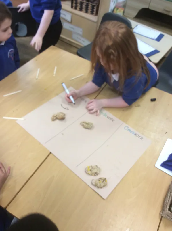 Gallery - created at 2024-02-15 10:37:57 - image 12 Gallery - created at 2024-02-15 10:37:57 - image 12