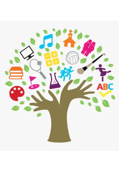 Curriculum