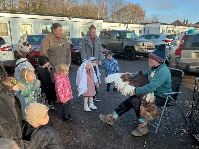 Stella farm on wheels Part 1 - image 35