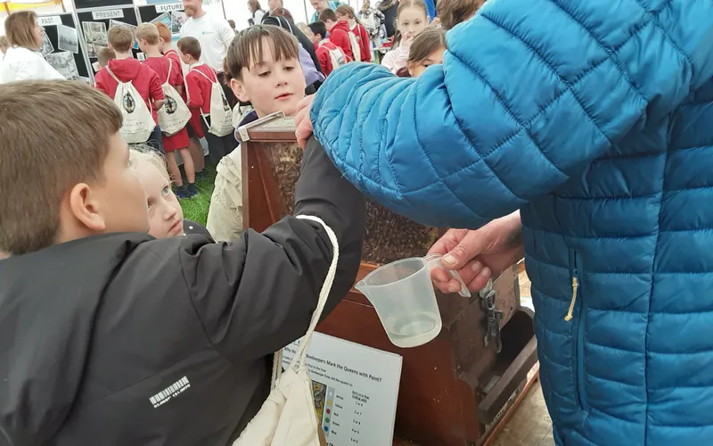 Gallery - created at 2025-06-06 10:40:13 - image 20 Gallery - created at 2025-06-06 10:40:13 - image 20