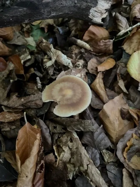 Gallery - created at 2022-10-17 20:44:00 - image 1