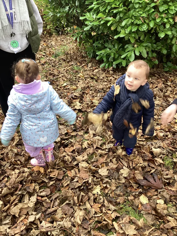 Gallery - created at 2024-11-08 10:10:59 - image 36 Gallery - created at 2024-11-08 10:10:59 - image 36