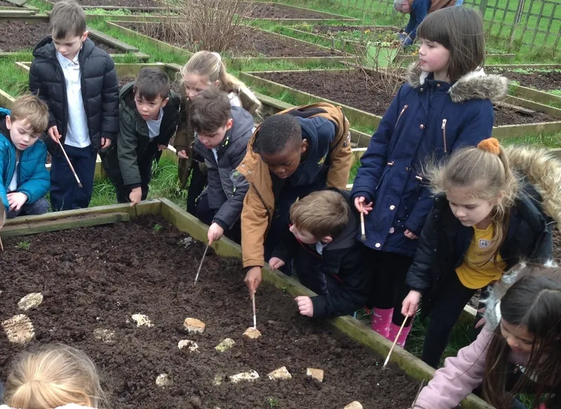 Gallery - created at 2020-02-19 15:43:30 - image 2