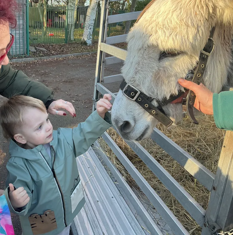 Explorers with Stella on Wheels  - image 17