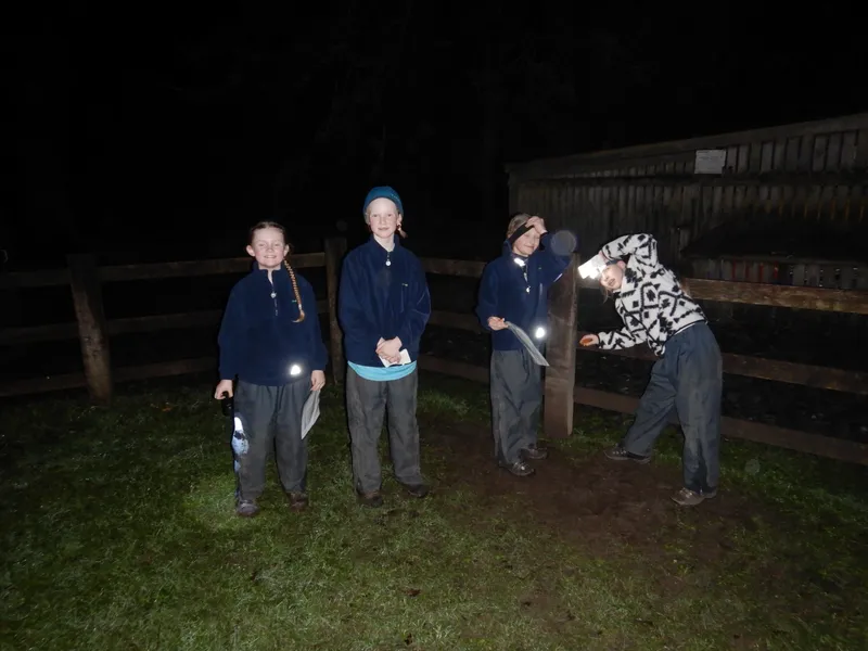 Gallery - created at 2024-02-27 21:54:15 - image 1 Gallery - created at 2024-02-27 21:54:15 - image 1