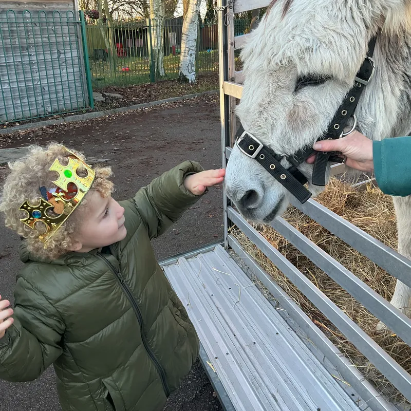 Stella farm on wheels Part 1 - image 47