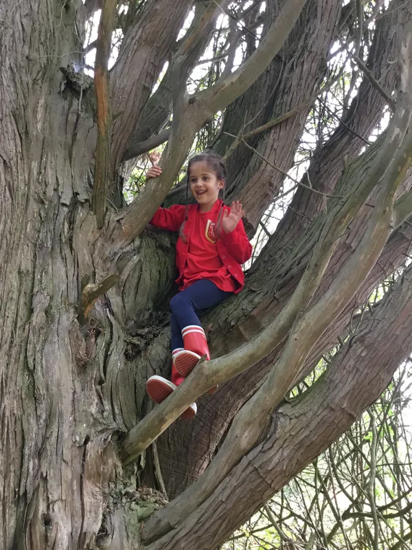 Gallery - created at 2022-09-14 12:24:08 - image 3