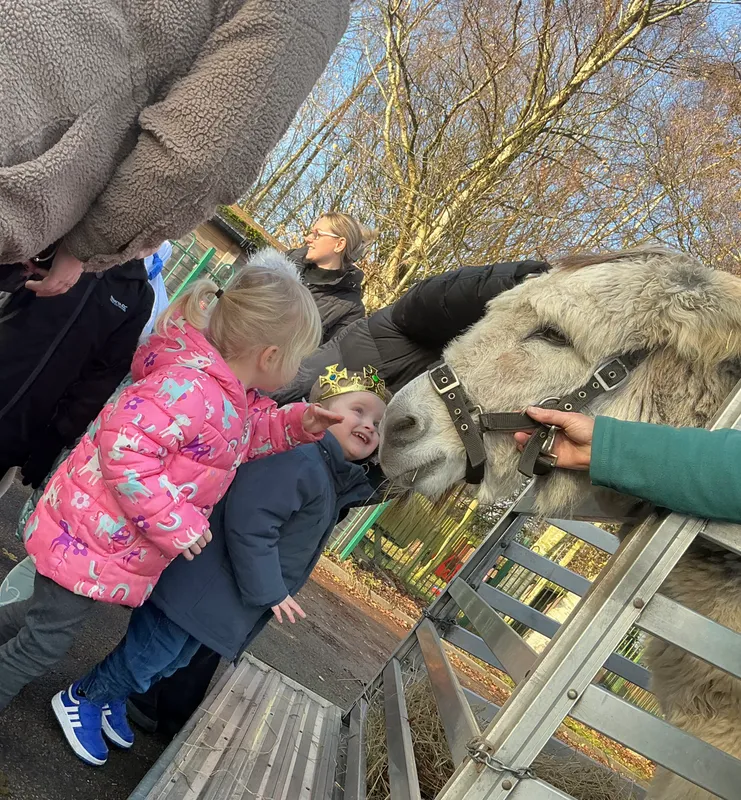 Stella farm on wheels Part 1 - image 6