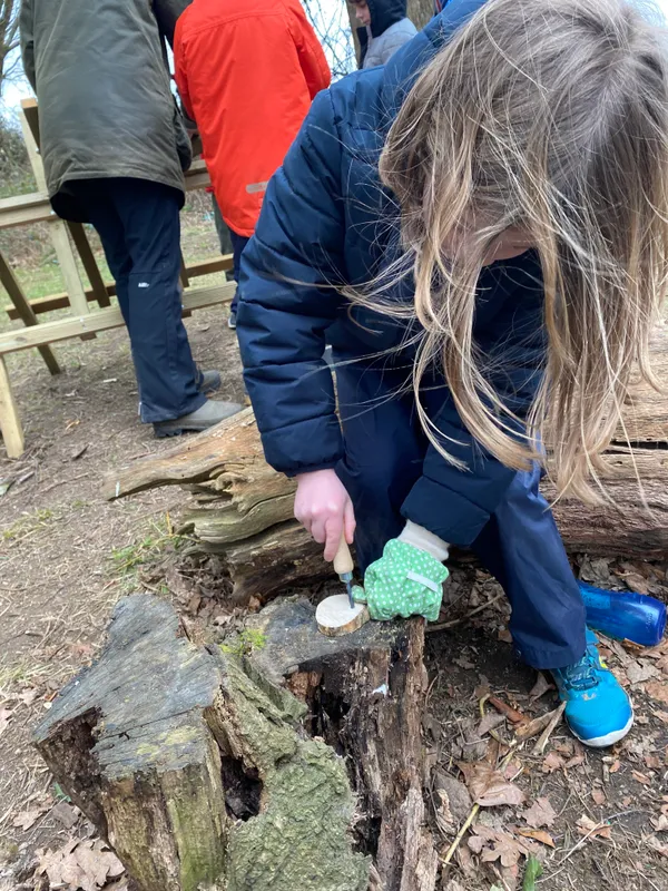 Gallery - created at 2023-03-07 12:40:22 - image 8 Gallery - created at 2023-03-07 12:40:22 - image 8